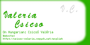 valeria csicso business card